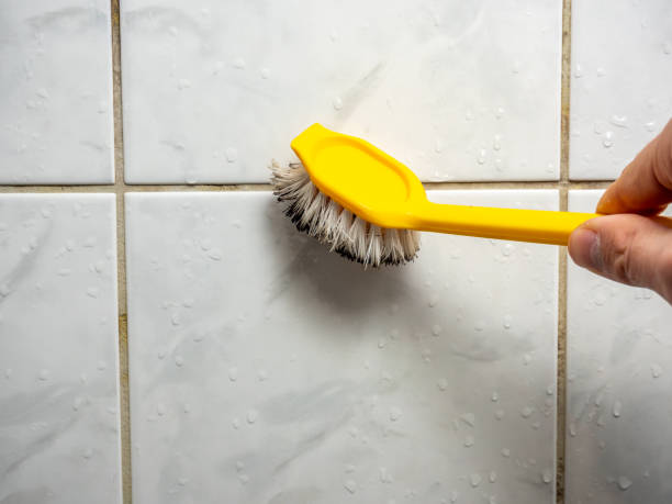 Best Commercial Mold Removal  in Channel Lake, IL