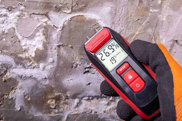 Mold Testing and Removal in Channel Lake, IL